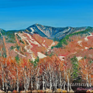 Last Tracks on Whiteface