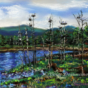 Heron Rookery-Pastel