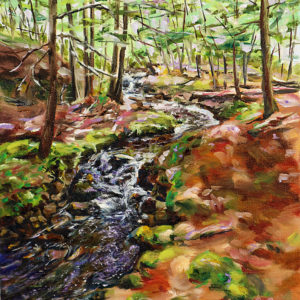 Meandering Little Brook