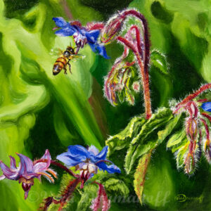 Sweet Nectar for the Honeybee