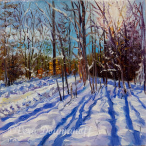 Winter Shadows of Blue