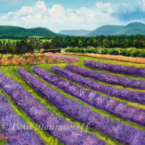 Fields of Lavender