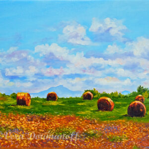 Hay Bale Meadows