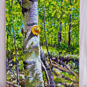 Summer Birch Trail Marker