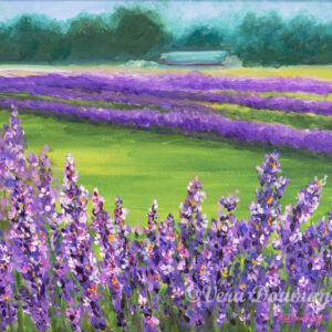 Lavender Bliss